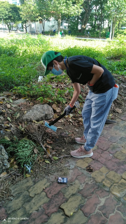 Các doanh nghiệp, người lao động và các bạn sinh viên được phân công theo nhóm để thực hiện dọn vệ sinh và trồng cây trong khuôn viên