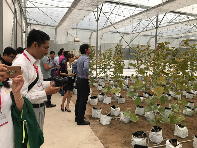 To visit membrane growing cantaloupe with SmartAgri