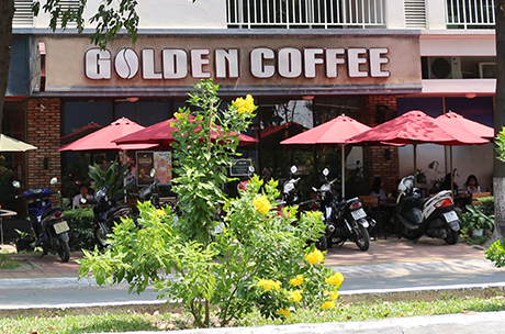 golden-coffee-qtsc