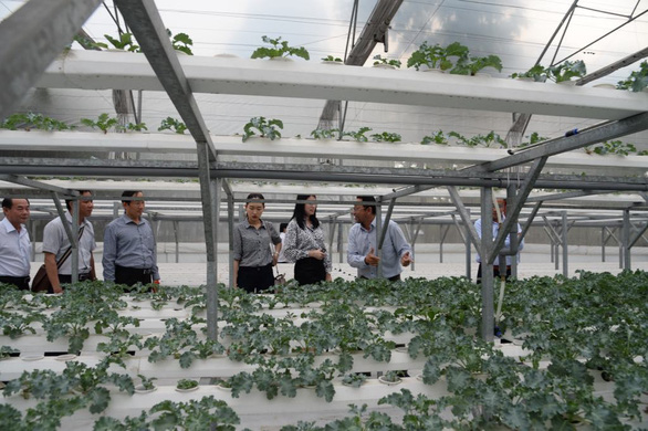 Phóng viên báo đài tham quan khu thực nghiệm ứng dụng công nghệ thông tin trong nông nghiệp- Ảnh: TỰ TRUNG
