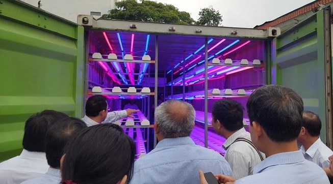 Đoàn lãnh đạo báo chí tham quan khu trồng rau trong container. Ảnh: PHƯƠNG THÙY