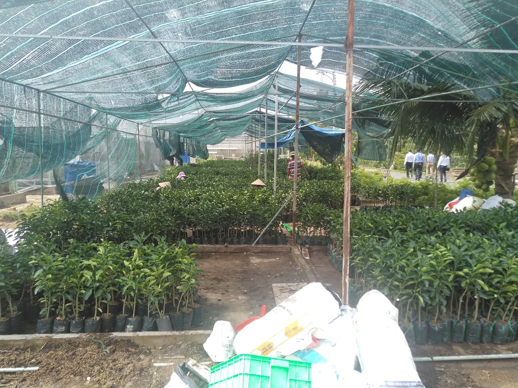 Thăm quan trung tâm Nông nghiệp ứng dụng công nghệ cao Bến Tre