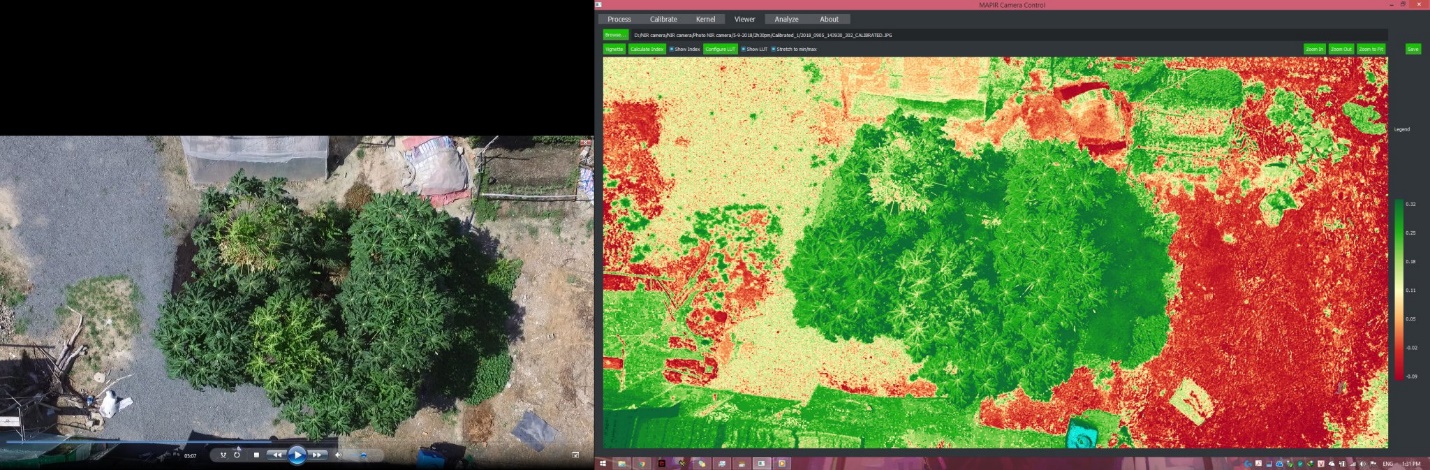 The identification of vegetation greenness based on NDVI