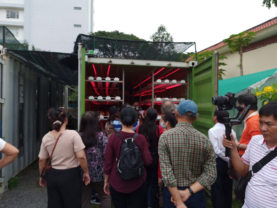 Listening to the process of growing vegetables and mushrooms in containers
