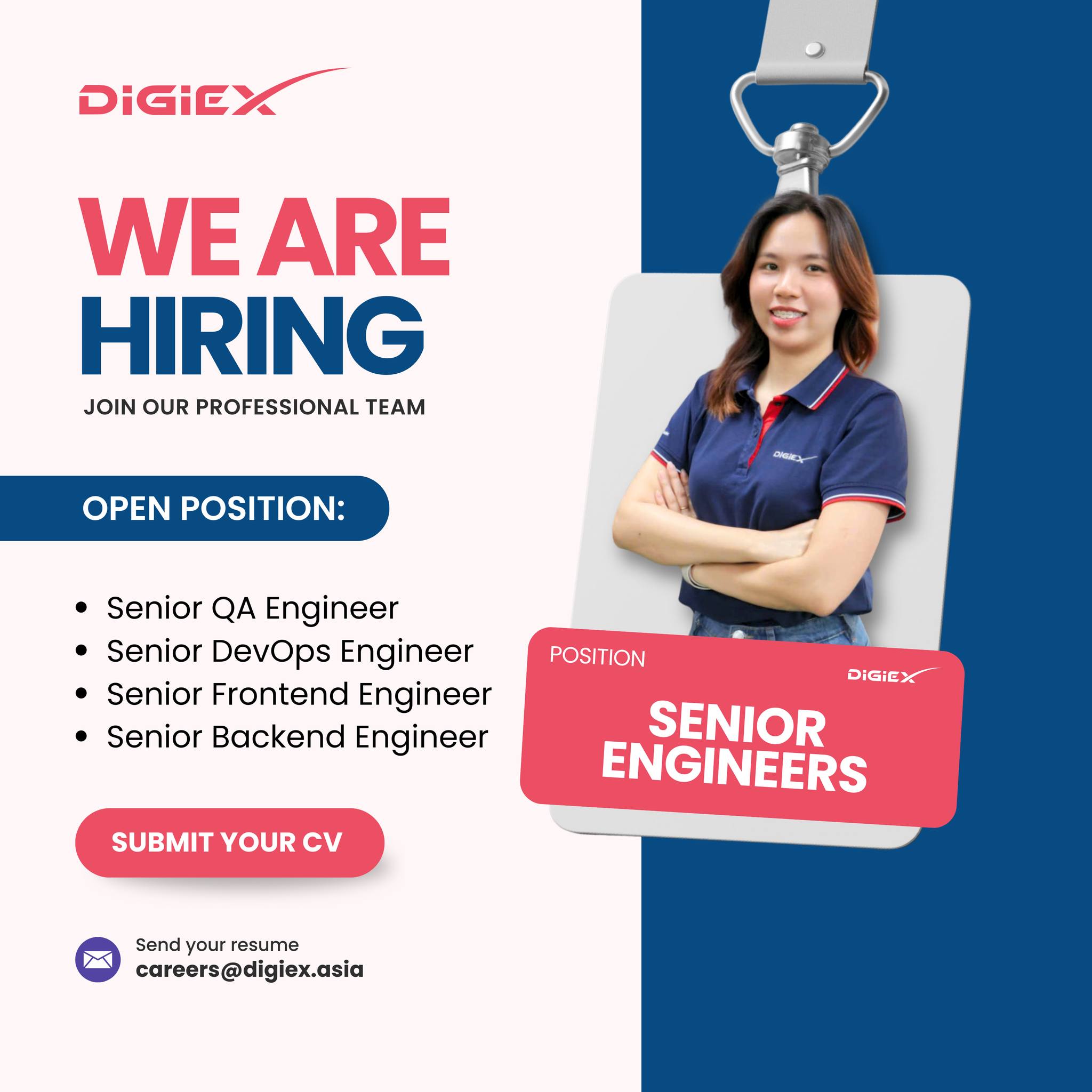 DigiEx Group is looking for Senior Engineers